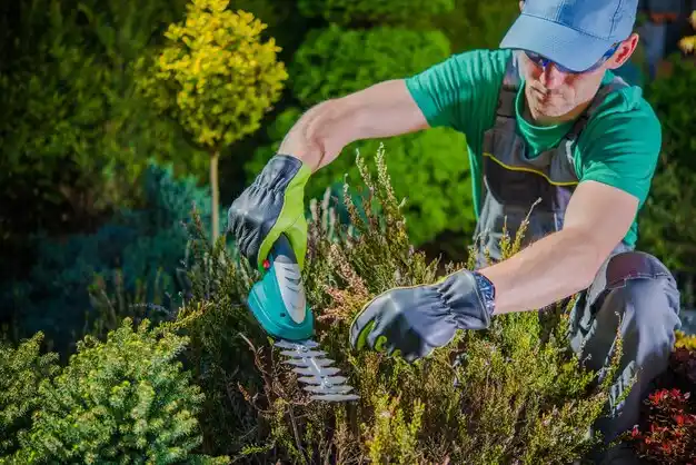 landscaping services East Shoreham